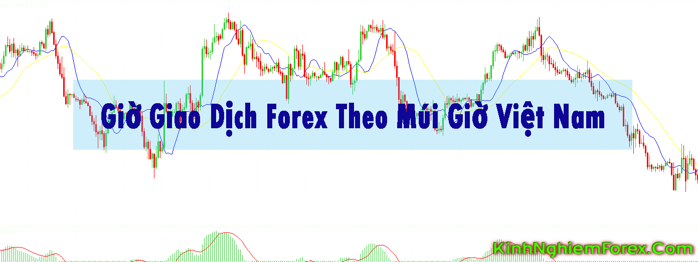 Forex Mui - Trading Forex