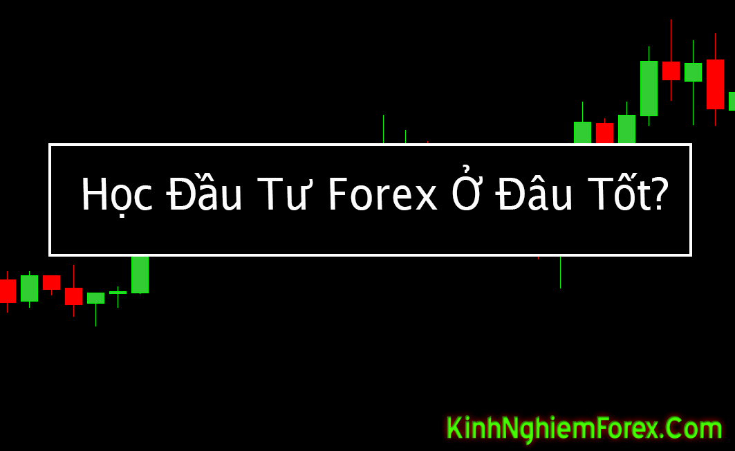 Học đầu tư Forex